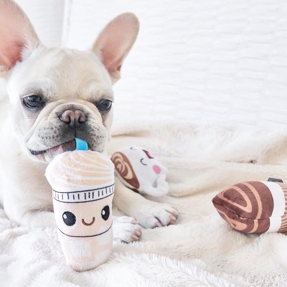 Fringe Toybox Java The Mutt Coffee Mini Squeaky Plush Dog 3Pc Toy Set