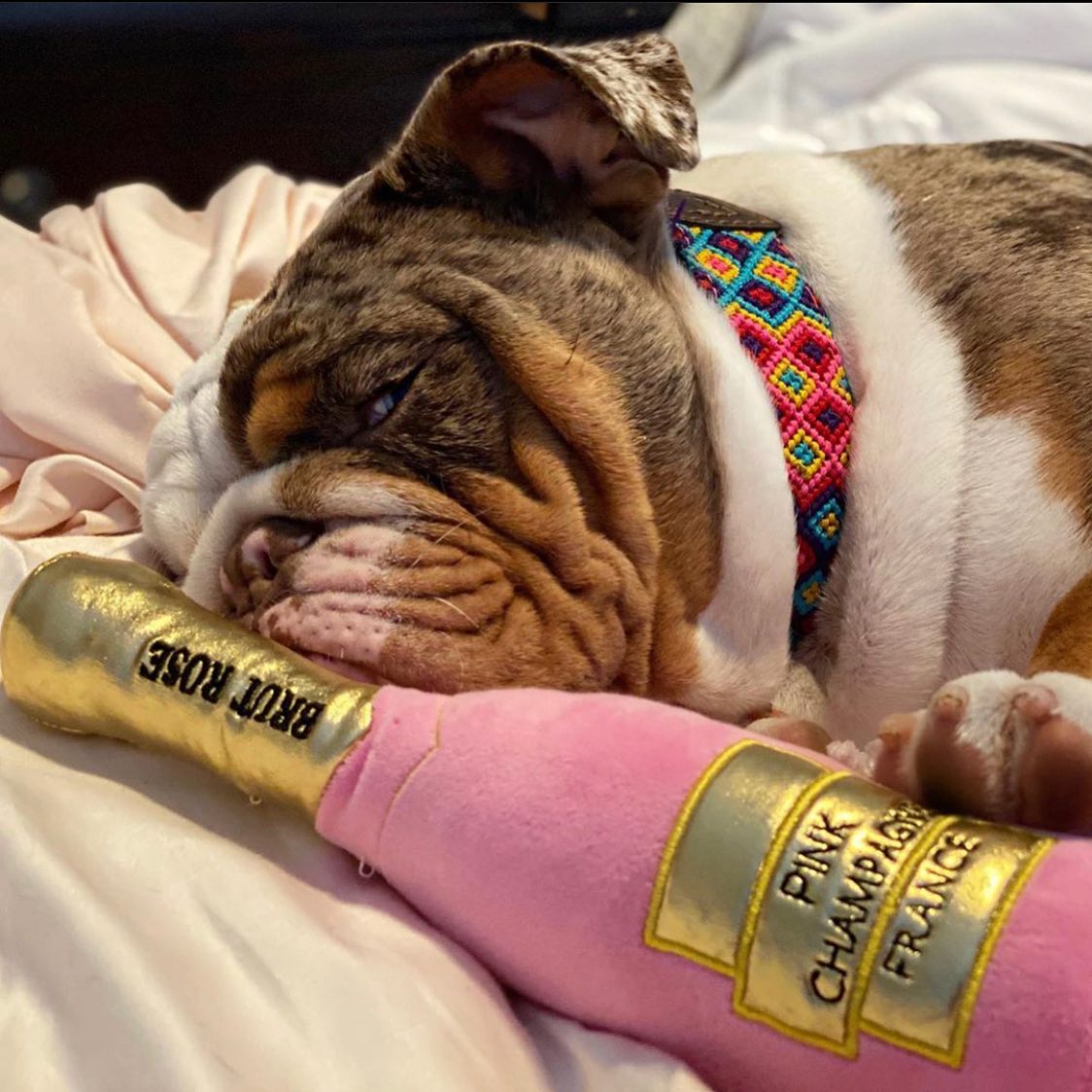 Fringe Toybox Mutt Rosé Pink Champagne France Bottle Squeaky Plush Dog