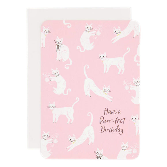 OCS Designs Have A Purr-fect Birthday Little Kitties White Cats Pink Deluxe Card Set w/Cat Sticker Seal - Aura In Pink Inc.