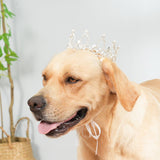Aura In Pink Rhinestone Crystal & Pearl Bling Silver Dog Cat Pet Crowns - XS, SM, MD, LG, XL