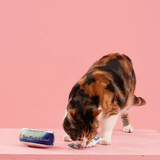 Fringe Studio Toybox "Tuna Right Meow" 2-Pk Plush Catnip Cat Toy Set