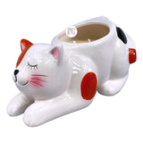 Humane Society Int'l Calico Cat Ceramic Planter Citrus Blossom & Pepper Scented Candle