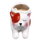 Humane Society Int'l Calico Cat Ceramic Planter Citrus Blossom & Pepper Scented Candle