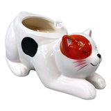 Humane Society Int'l Calico Cat Ceramic Planter Citrus Blossom & Pepper Scented Candle