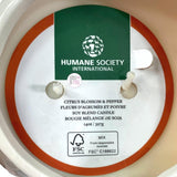 Humane Society Int'l Calico Cat Ceramic Planter Citrus Blossom & Pepper Scented Candle