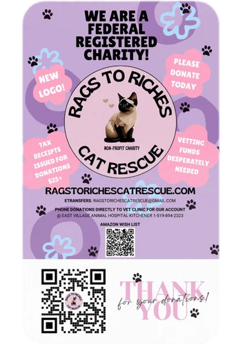 Rags To Riches Cat Rescue Charity Partner Donation – Aura In Pink