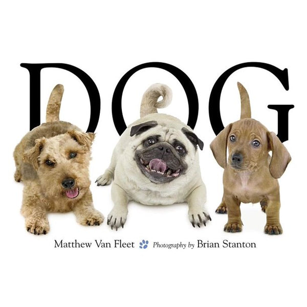 DOG Pull Tab & Flap, Touch & Feel Hardcover Children's Book By