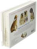 DOG Pull Tab & Flap, Touch & Feel Hardcover Children's Book By Matthew Van Fleet - Aura In Pink Inc.