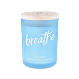 DW Home Zen Premium Fragrance Collection Large Double Wick Glass Jar Candles -  Various Scents - Aura In Pink Inc.