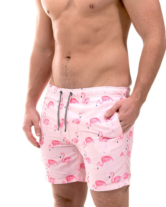 Franks Australia Tampa Pink Flamingo Swim Shorts Aura In Pink Inc