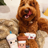 Fringe Toybox Java The Mutt Coffee Mini Squeaky Plush Dog 3-Pc Toy Set - Aura In Pink Inc.