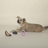 Fringe Toybox Paw-Shionista Fashionista Squeaky Plush 3-Pc Mini Dog Toy Set - Aura In Pink Inc.