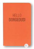 Girl Boss & Hello Gorgeous Mini Notebooks - Aura In Pink Inc.