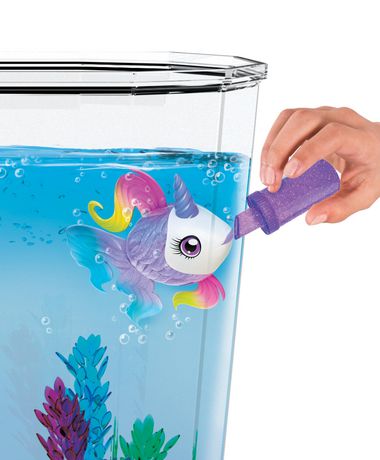 Kleine lebende Haustiere L il Dippers Einhornfisch Unicornsea Aquarium Aura In Pink Inc