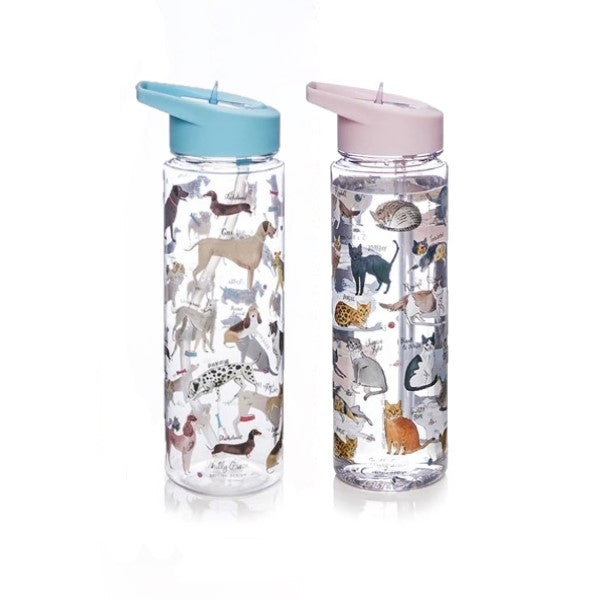 Cat water bottle outlet