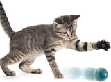 Petlinks Kitty Catch Chirping Bird Ball Electronic Sound Cat Toy
