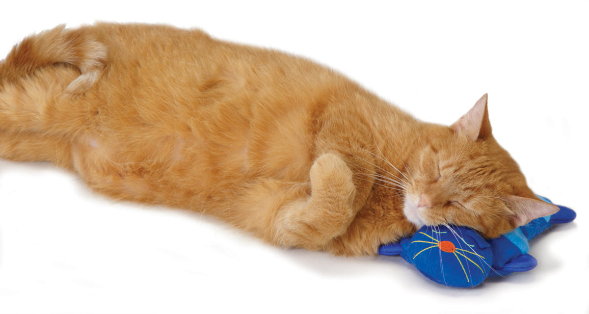 Petstages Kitty Cuddle Pal Plush Soothing Warmth Microwaveable Pouch C ...