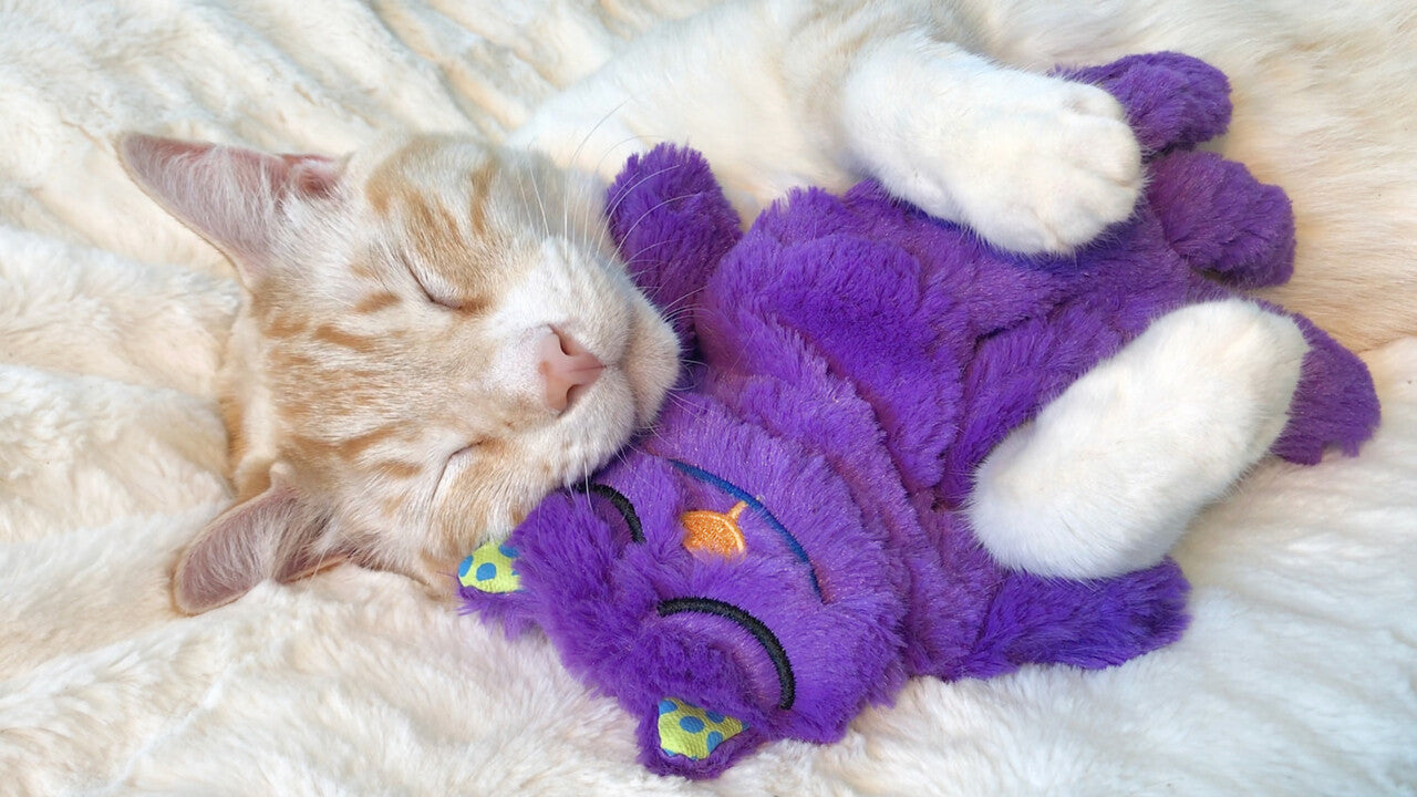 Touch activated plush purring cat top
