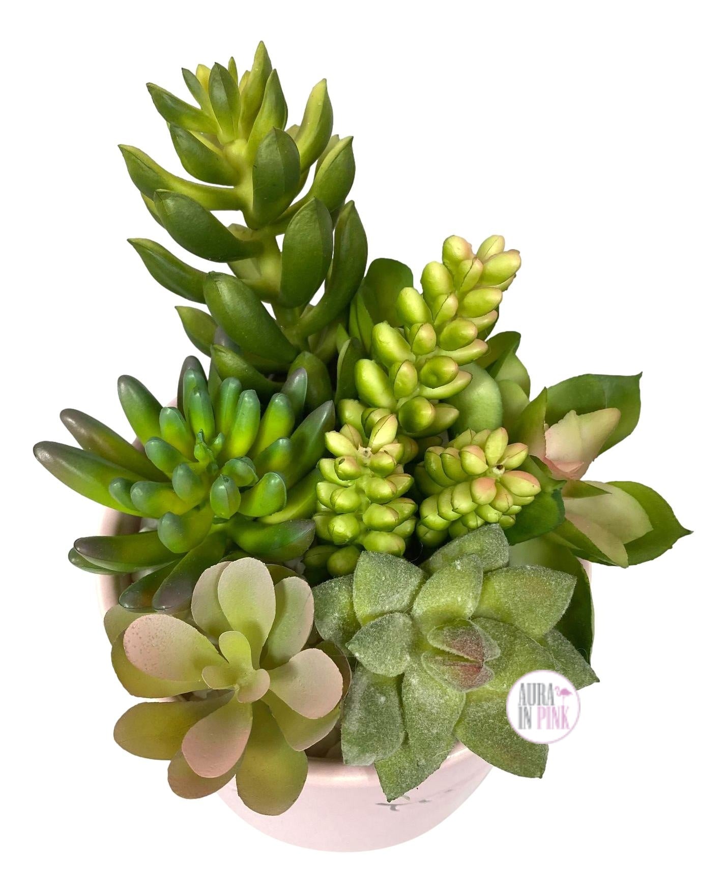 eyelash plant pot Sleepy Eyelashes Faux-Plant Succulents Ceramic Planters