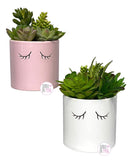 Sleepy Eyelashes Faux-Plant Succulents Ceramic Planters - Blush Pink & Classic White - Aura In Pink Inc.