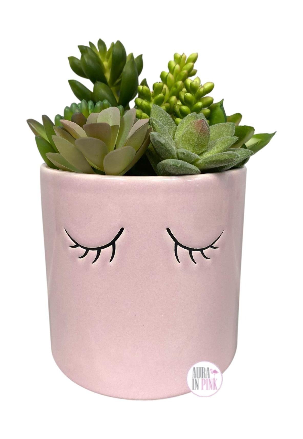 blush plant pot Sleepy Eyelashes Faux-Plant Succulents Ceramic Planters
