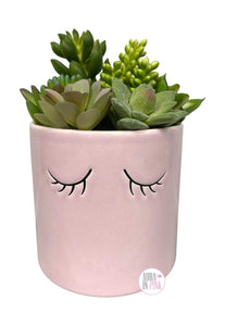 Sleepy Eyelashes Faux-Plant Succulents Ceramic Planters - Blush Pink & Classic White - Aura In Pink Inc.