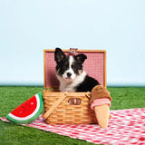 Zippy Paws NomNomz Chocolate Strawberry Ice Cream Cone Squeaky Plush Dog Toy - Aura In Pink Inc.