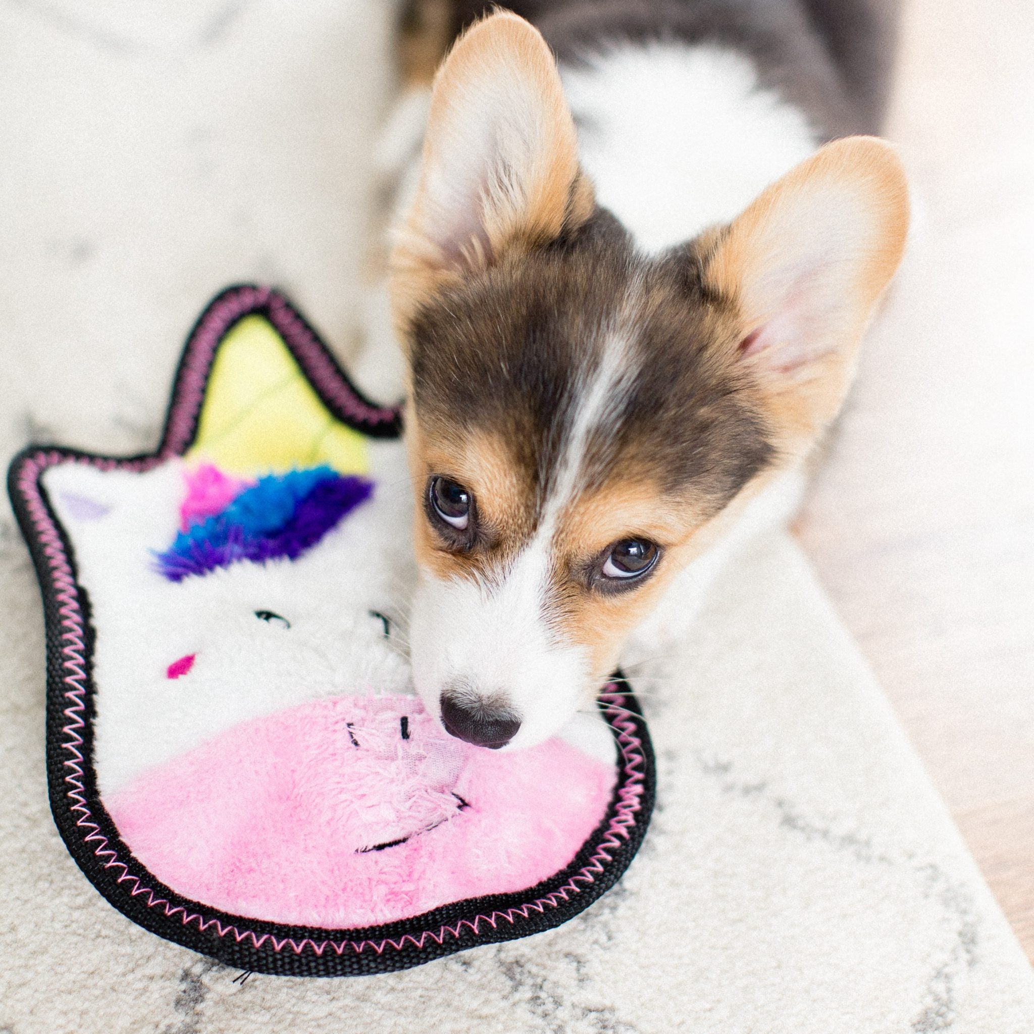 https://www.aurainpink.com/cdn/shop/products/ZippyPawsZ-StitchSprinklesTheUnicornSqueakyPlushDogToy5_1024x1024@2x.jpg?v=1640195837